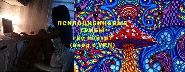 mdpv Верея
